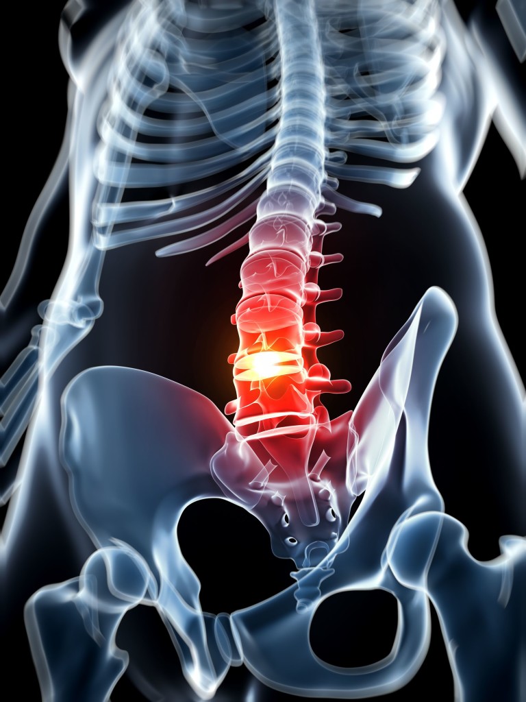 vertebral column discs