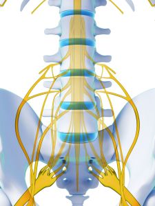 spinal stimulation