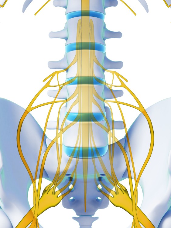 Spinal Stimulation - How it Works & When it Helps