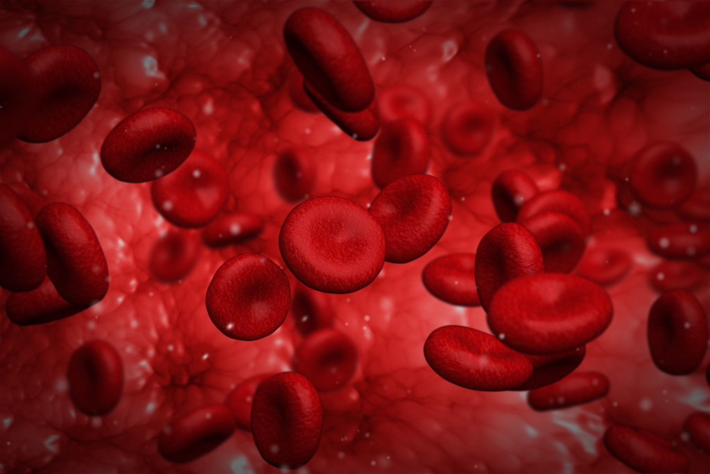 blood platelets