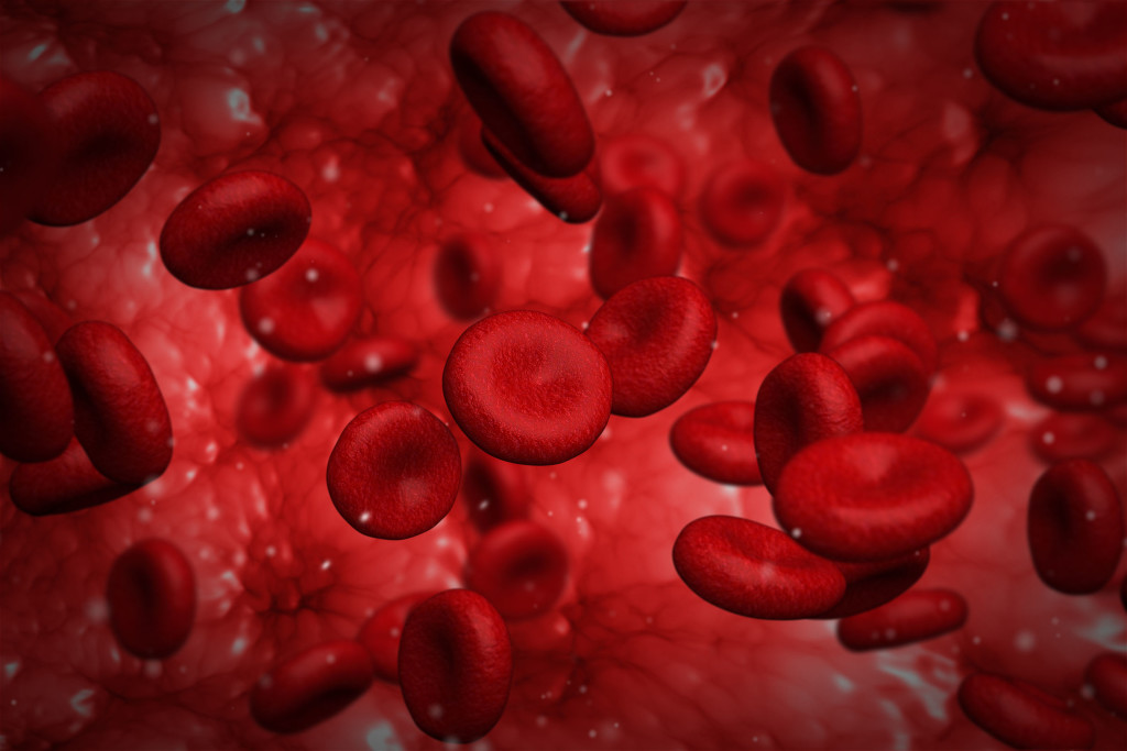 bleeding-disorders-can-be-caused-by-platelet-function-disorders-m-the