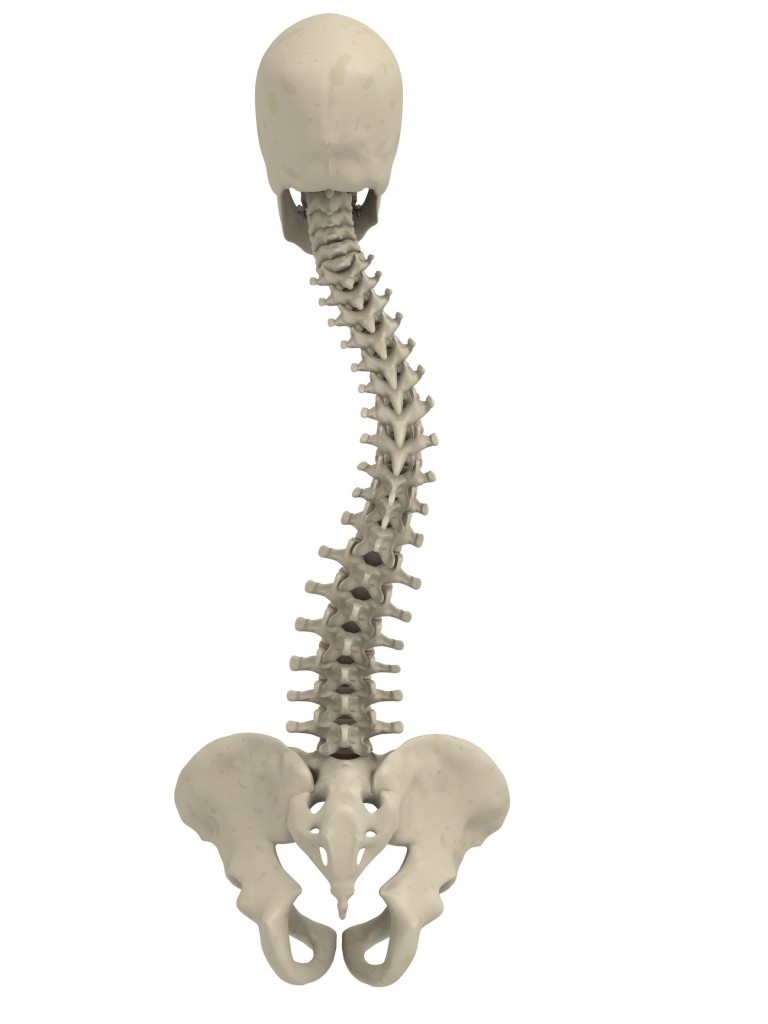 Degrees of Scoliosis & Treatment Options