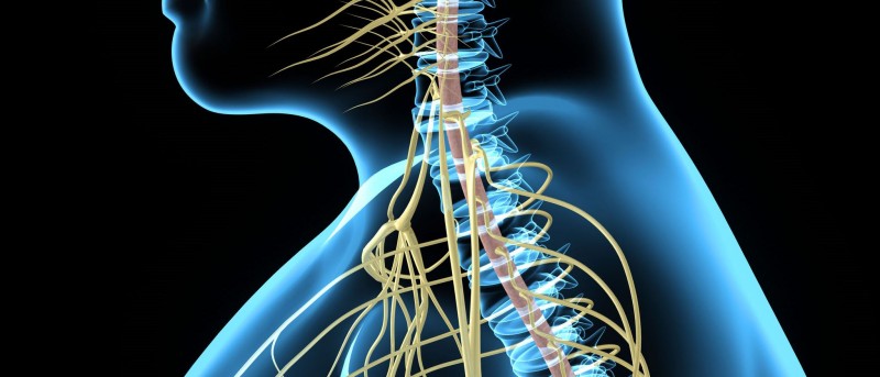 Spinal Nerve Surgery Minnesota