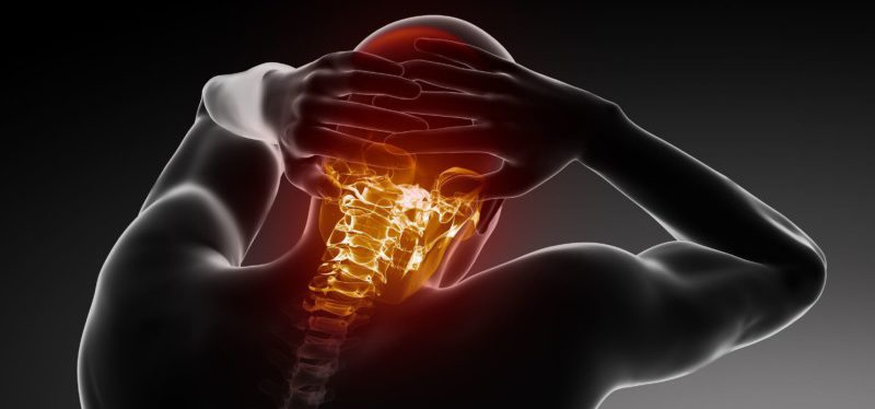 spine posture